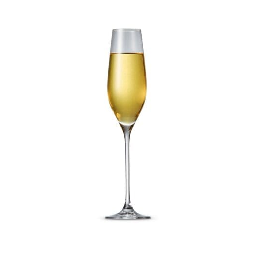 Cuvee Champagneglas 21 cl - Afbeelding 3